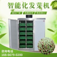 全自动芽苗菜催芽箱 种子发芽机 芽苗菜技术 多功能发芽机