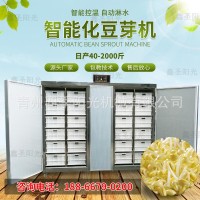 全自动豆芽机 商用黄豆芽绿豆芽箱式豆芽机 豆芽发芽设备