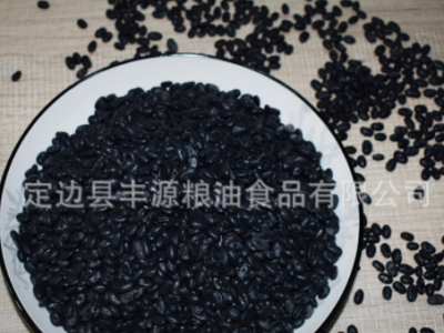 2019年产 小黑豆 陕北黑豆 农家黑豆 厂家销售批发图2