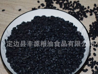 2019年产 小黑豆 陕北黑豆 农家黑豆 厂家销售批发图5