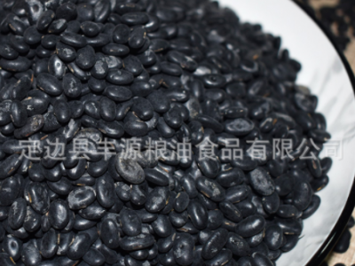 2019年产 小黑豆 陕北黑豆 农家黑豆 厂家销售批发图4