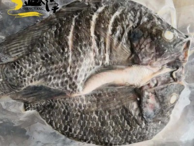 开背鲷鱼片10kg/箱 罗非鱼 带皮冷冻鱼片 火锅烤鱼日料刺身批发图4