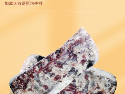 加拿大谷饲3a西冷牛排餐厅酒店用去骨5a雪花冰冻牛肉原切雪花牛排图2