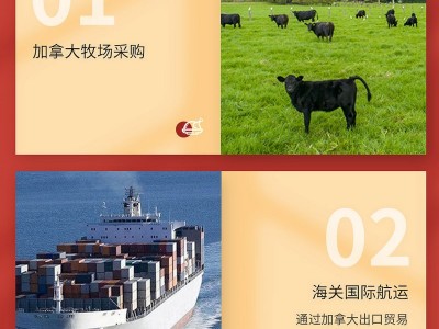 国产S牛柳原切牛柳日餐烧肉酒店商用 整箱批发牛柳里脊肉称重发货图4
