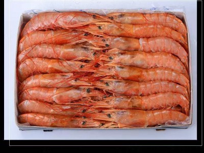 壳薄肉多红虾冷冻 海捕L1红虾海鲜虾批发图3