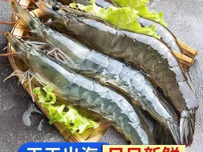 青岛大虾海虾冷冻水产海鲜国产海捕冻虾河虾非龙虾基围虾顺丰图2