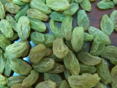 新疆吐鲁番特产小绿葡萄干500g批发无核葡萄果干零食一件代发包邮图3