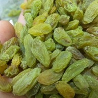 新疆吐鲁番特产小绿葡萄干500g批发无核葡萄果干零食一件代发包邮