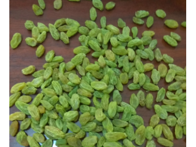 新疆吐鲁番特产小绿葡萄干500g批发无核葡萄果干零食一件代发包邮图2