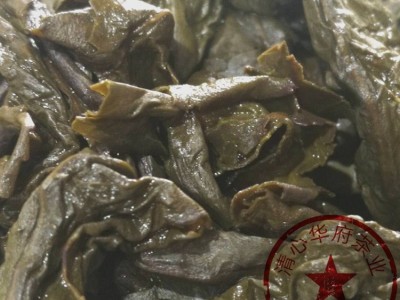 掌柜推荐 新茶烤火茶中火炭焙浓香型铁观音茶叶口感好耐泡产地价图3