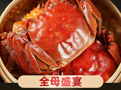 阳澄湖镇大闸蟹鲜活螃蟹3.0两全母蟹礼盒8只装图5