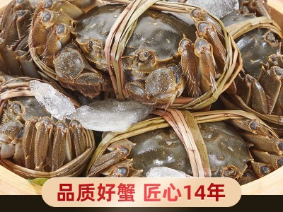 阳澄湖镇大闸蟹鲜活螃蟹公蟹3.0两6只母蟹2.0两10只礼盒装图4