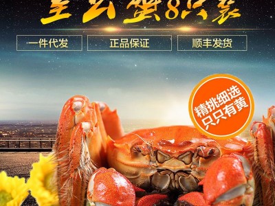 阳澄湖大闸蟹全公蟹3.0-3.4两鲜活螃蟹礼盒套餐支持代发顺丰图4