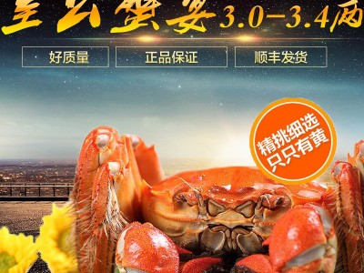 散装大闸蟹全公蟹全母蟹单只鲜活螃蟹礼盒阳澄湖镇大闸蟹图2