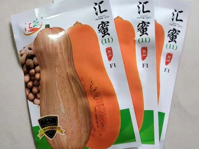 汇蜜南瓜F1南瓜种子厂家批发 早熟厚肉软糯香甜高产南瓜品种现货图4
