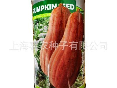 喜农汇蔬瓜果蔬菜种子厂家批发软糯甜面农家大棚蔬菜种子加工定制图4