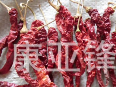 长期批发 供应辣椒 红辣椒 干线椒秦椒细长形辣椒干图2