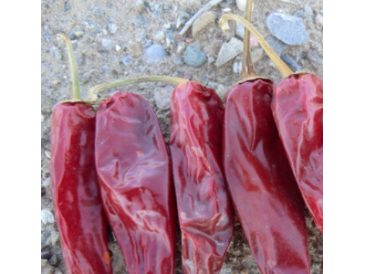 大量批发优质辣椒王系列产品 火锅炒菜专用红辣椒图3