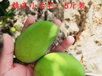 批发海南精品小台芒果非贵妃芒新鲜水果皮薄味美热带水果一件代发图5