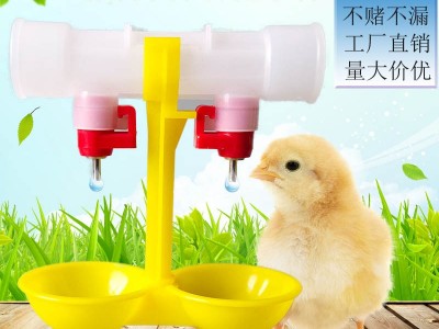 鸡用双碗吊杯饮水器 鸡鸭球阀双乳头自动饮水碗 养殖鸡用喂水器图2
