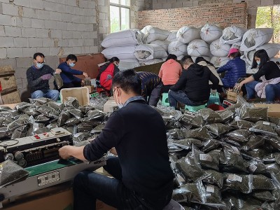 2022年安溪茶铁观音新茶秋茶浓香型消青散装福建茶叶外贸跨境货源图4