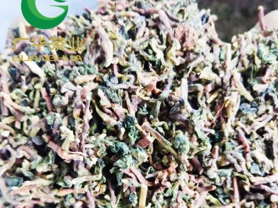 茶叶梗茶角枝乌龙茶铁观音茶叶茶梗散装批发山蜜草奶茶店奶茶原料图4