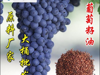 厂家直销 冷榨精炼葡萄籽油图3
