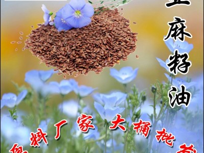 欣奇典厂家直销 散装大桶批发ALA50-56%亚麻籽油图2