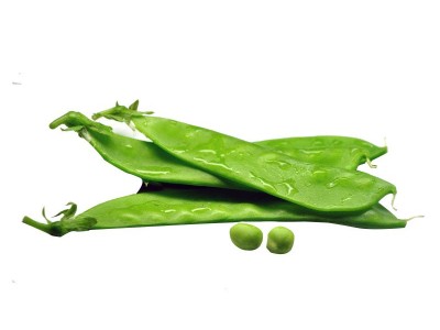 荷兰豆种子大软荚高产豌豆籽春秋种籽子春季四季播种阳台蔬菜种孑图5