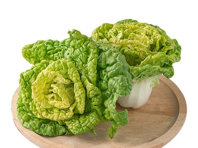 菊花芯黄心乌种子乌塌菜散叶白菜黄心白菜种籽耐寒四季播蔬菜种孑图5