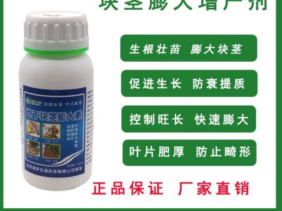 地下根茎膨大素红薯土豆山药膨大剂抗病抗逆全营养图4