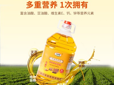 现货批发 饭店西餐炒菜用物理压榨花生油 自榨福利活动礼品粮油图2