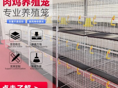 三层梁门立体式肉鸡笼清粪养鸡设备鸡笼子配件层叠式蛋鸡笼图4