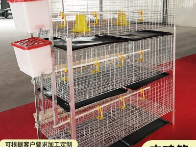 三层梁门立体式肉鸡笼清粪养鸡设备鸡笼子配件层叠式蛋鸡笼图3