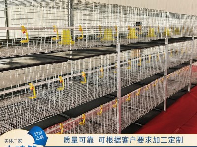 三层梁门立体式肉鸡笼清粪养鸡设备鸡笼子配件层叠式蛋鸡笼图2