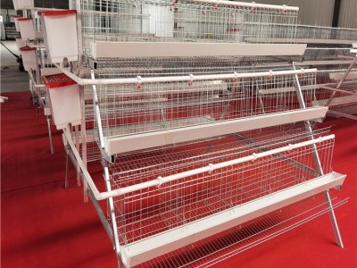 A型层叠鸡笼 蛋鸡笼 输送带 捡蛋 喂食 饮水全自动设备图3