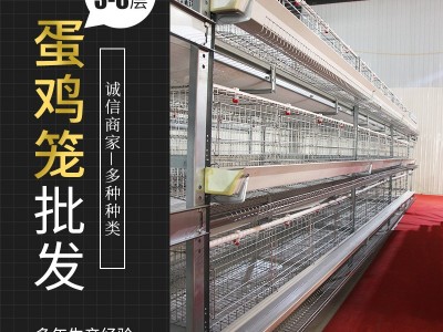 蛋鸡笼养殖设备热镀锌全自动鸡笼立体式养鸡设备自动化层叠养鸡笼图4