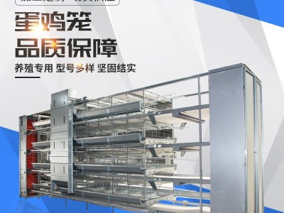 蛋鸡笼养殖设备热镀锌全自动鸡笼立体式养鸡设备自动化层叠养鸡笼图3