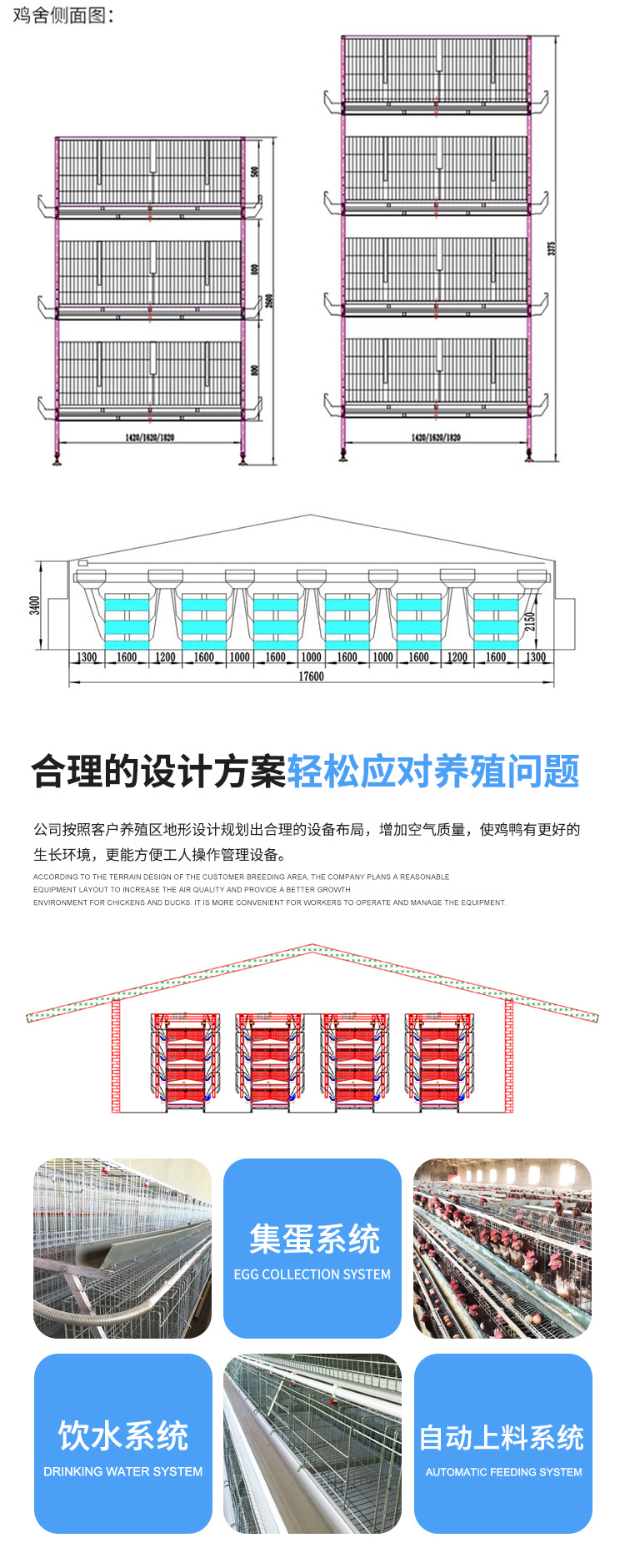 蛋鸡笼详情_03.jpg