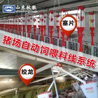 猪场自动化上料系统塞盘蛟龙是送料线自动化输料系统全自动料线