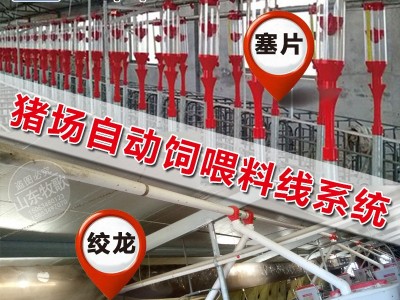 猪场自动化上料系统塞盘蛟龙是送料线自动化输料系统全自动料线图5
