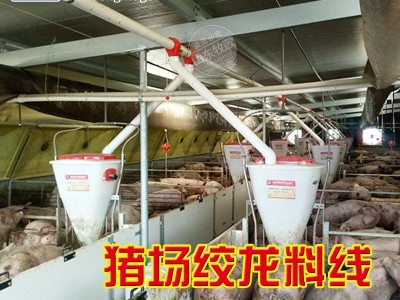 猪场自动化上料系统塞盘蛟龙是送料线自动化输料系统全自动料线图3