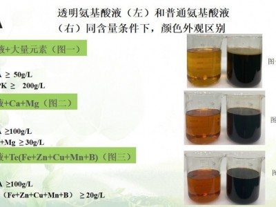 螯合钙镁锌硼 氨基酸中微量元素叶面肥 水果上色增甜补钙有机肥图4