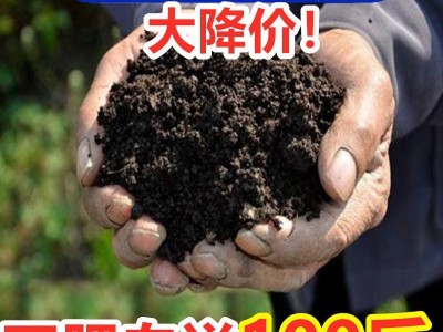 厂家批发发酵羊粪有机肥农家肥生物有机肥微生物菌剂发酵鸡粪牛粪图2