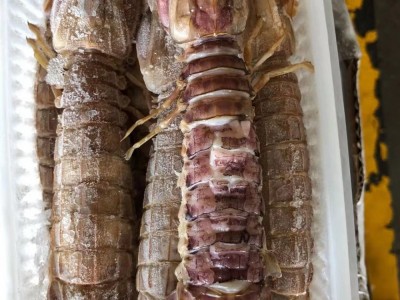 皮皮虾大公 半熟皮皮虾 一盒一斤 无冰衣酒店餐饮批发图2