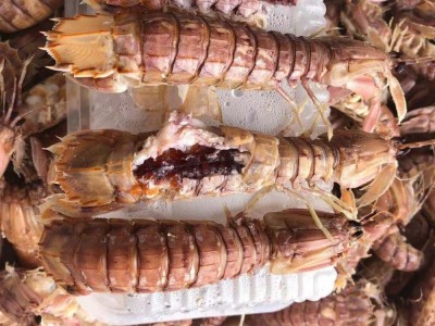 全母皮皮虾 一盒一斤 个个精挑细选 支持酒店 餐饮批发图3