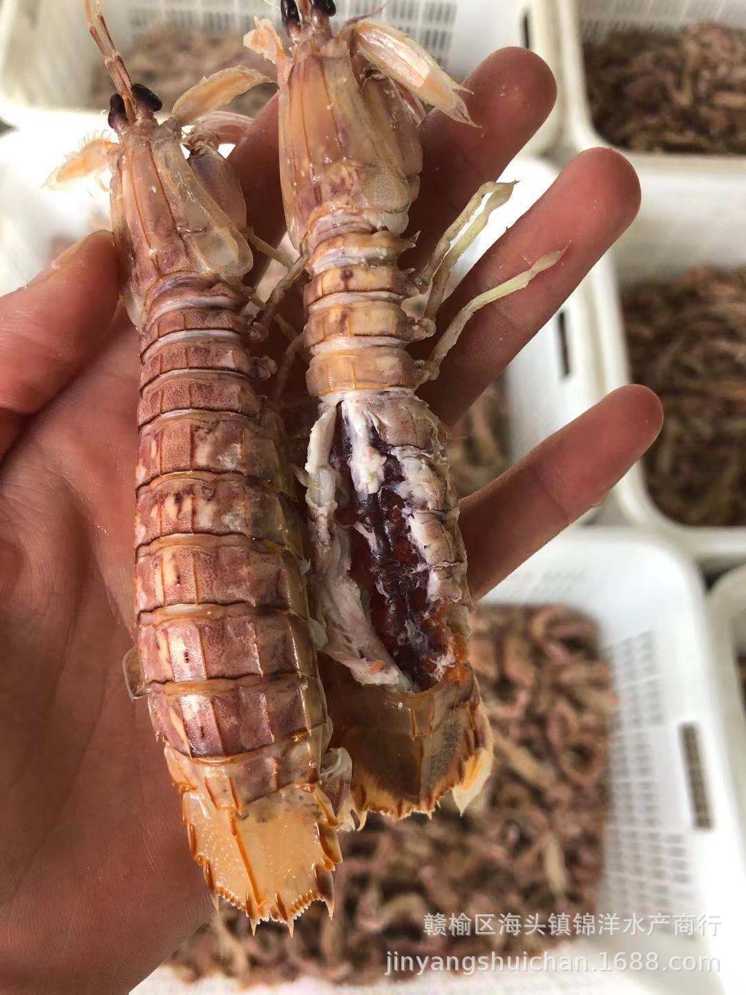 微信图片_20210815134909