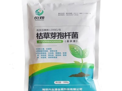 200亿全水溶枯草芽孢杆菌微生物菌肥菌剂防治土传病害图4