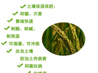 200亿全水溶枯草芽孢杆菌微生物菌肥菌剂防治土传病害图5