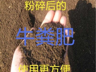 发酵牛粪鸡粪羊粪有机肥批发生物有机肥微生物菌剂农家肥图5